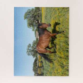 Horse in Medow Jigsaw Puzzle