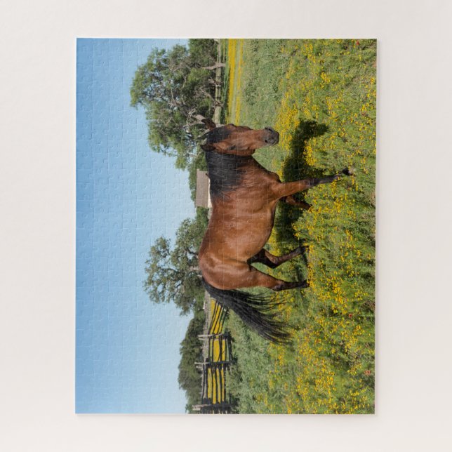 Horse in Medow Jigsaw Puzzle (Vertical)