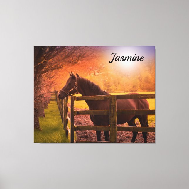 Horse in Paddock Personalised Canvas Print (Front)