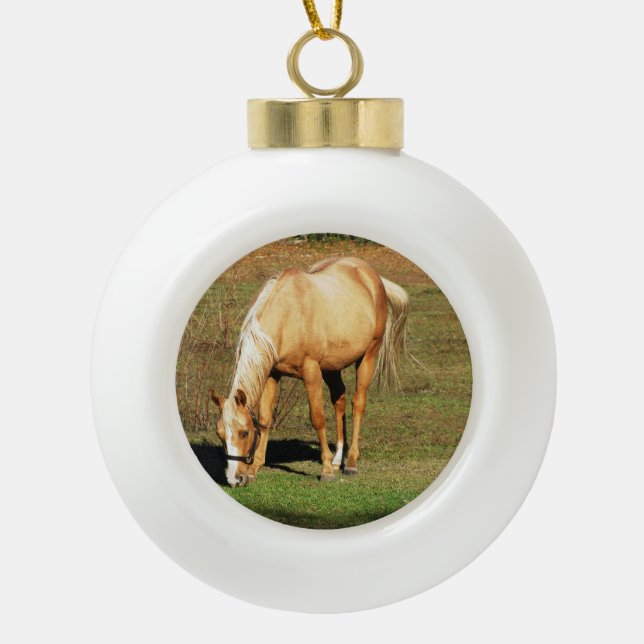 Horse in Pasture Christmas Ornament (Front)