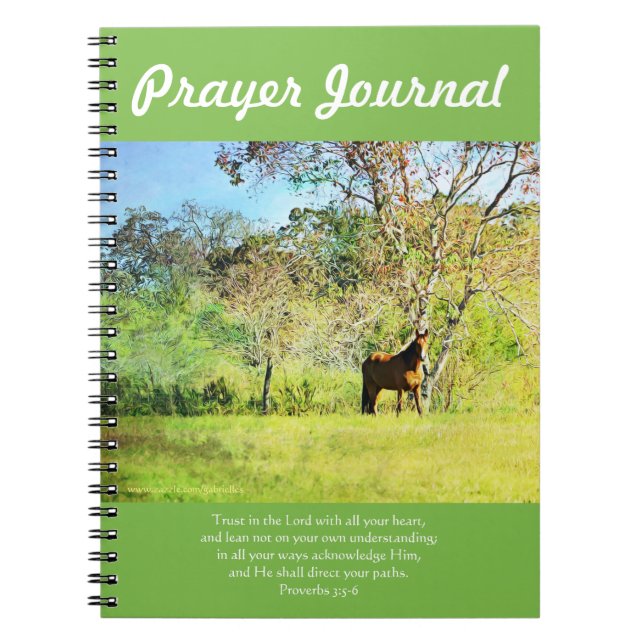 Horse In Pasture Prayer Journal 2-7 (Front)