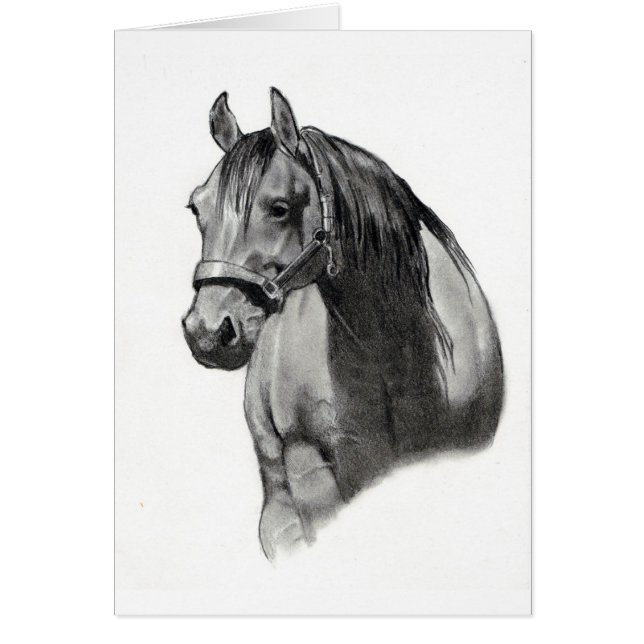 HORSE IN PENCIL (Front)