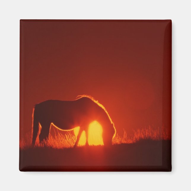 Horse in Red Sunset Magnet (Front)