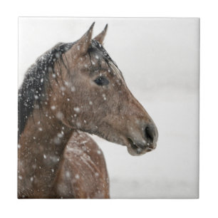 Horse in snow tile