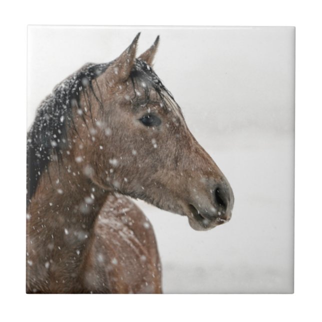Horse in snow tile (Front)