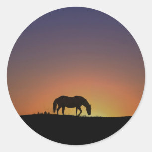 Horse in Southwestern Sunrise Sticker