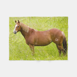 Horse in Spring Field Fleece Blanket