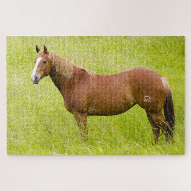 Horse in Spring Field Jigsaw Puzzle (Horizontal)