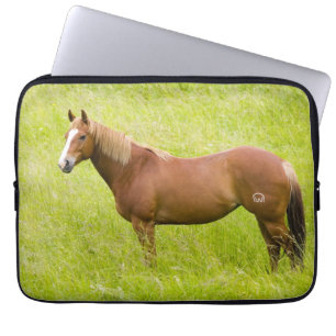 Horse in Spring Field Laptop Sleeve