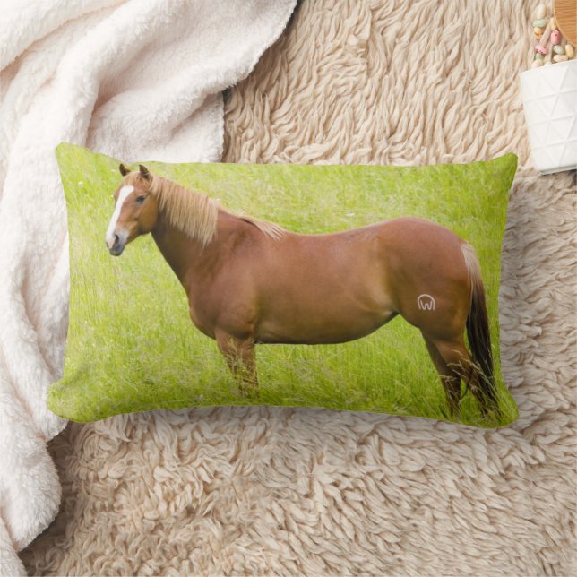Horse in Spring Field Lumbar Cushion (Blanket)