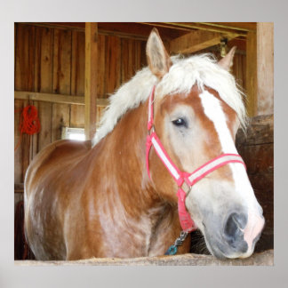 Horse in stable 1 poster