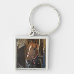 Horse in stall key ring