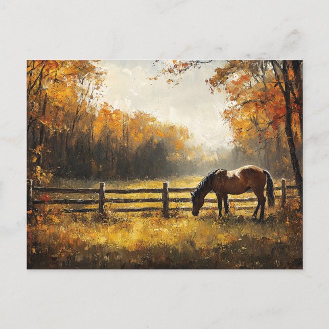 Horse in the Field Golden Hour Painting Postcard (Front)