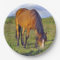 horse in the meadow plate