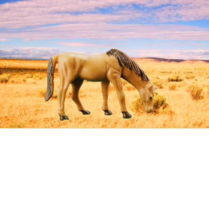 Horse in the Pasture T-Shirt