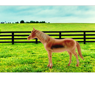 Horse in the Pasture T-Shirt