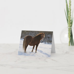 Horse in the snow Xmas card