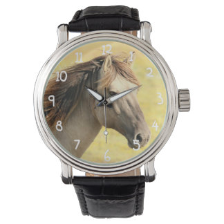 Horse in the wild watch