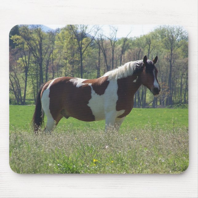 Horse in the Wildflowers Mouse Pad (Front)