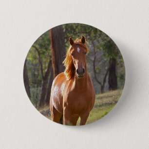Horse In The Woods 6 Cm Round Badge