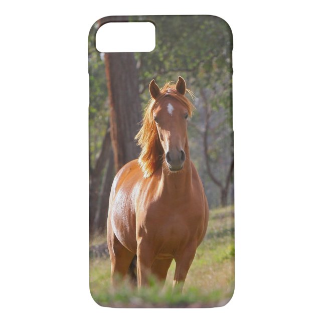 Horse In The Woods Case-Mate iPhone Case (Back)