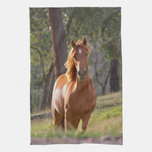 Horse In The Woods Tea Towel