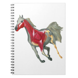 Horse Internal Structure Spiral Notebook