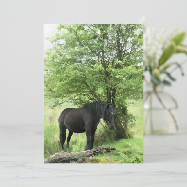 HORSE Invitation (Standing Front)