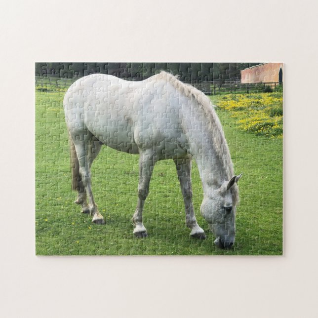 Horse Jigsaw - A White Horse Grazing in a Field Puzzle (Horizontal)