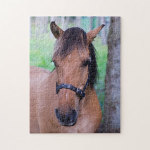 Horse Jigsaw puzzle