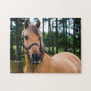 Horse Jigsaw puzzle