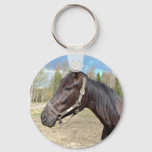 Horse key chain