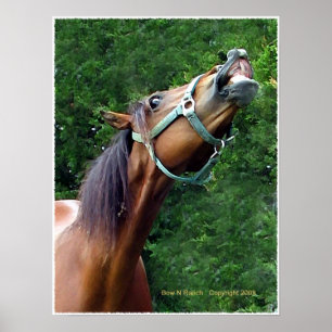 Horse Laugh  Poster