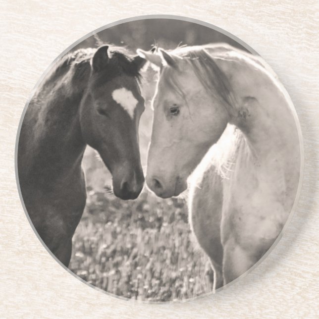 Horse Love Coaster (Front)