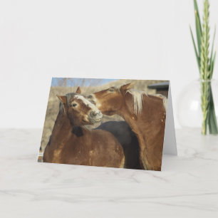 Horse Love Holiday Card