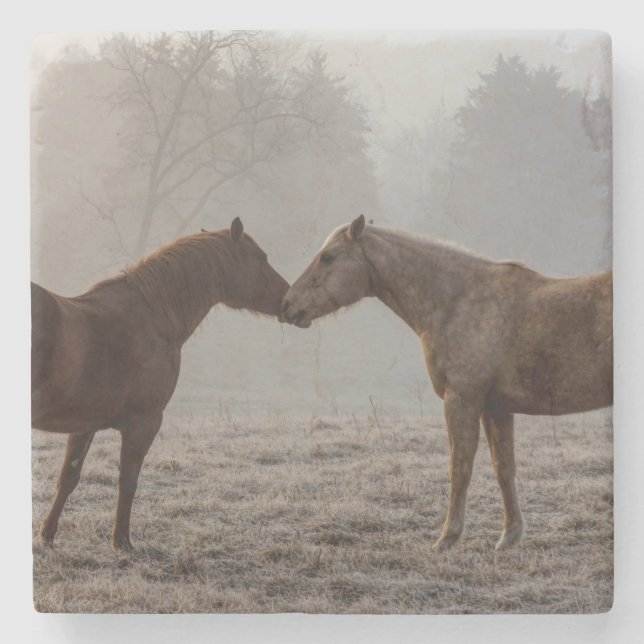 Horse Love Stone Coaster (Front)