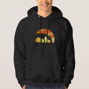 Horse Love Sundown Shadow Girl With Horse Hoodie