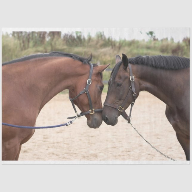 horse love tissue paper (Front)