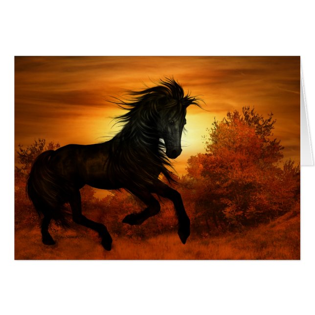 Horse Lover Black Stallion Horse Blank (Front Horizontal)