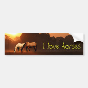 Horse lover bumper sticker