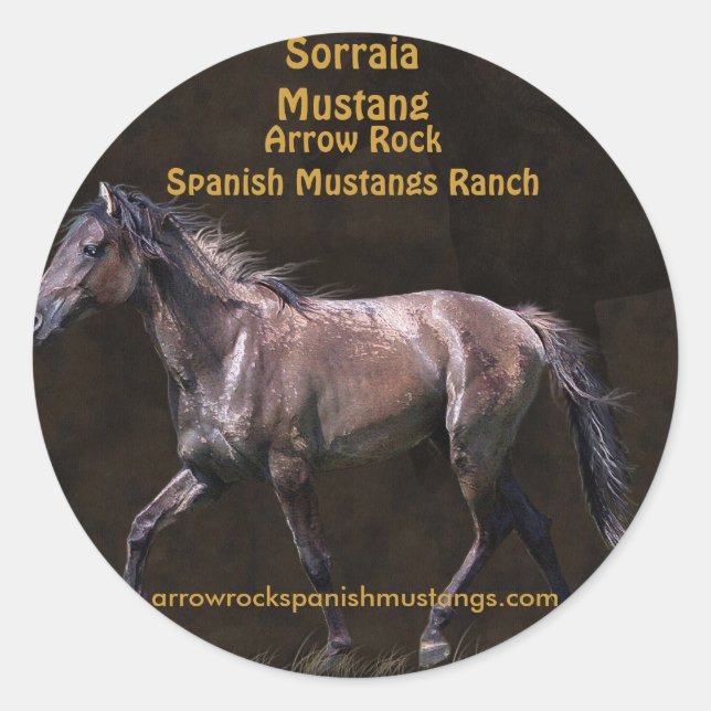 Horse-lover Equine design Classic Round Sticker (Front)