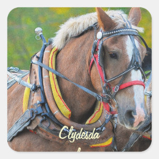 Horse-lover Equine design Square Sticker