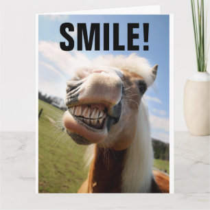 HORSE LOVER FUNNY BIRTHDAY GREETING CARD