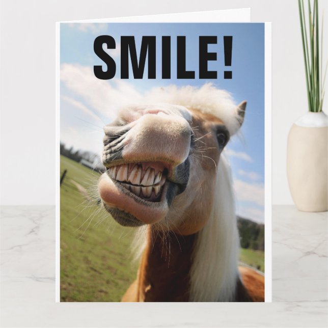 HORSE LOVER FUNNY BIRTHDAY GREETING CARD (Front)