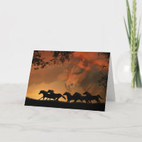 Horse Lover Happy Birthday Card