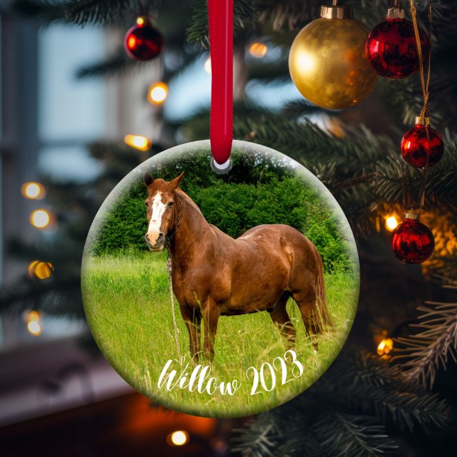 Horse Lover Memorial Ornament Gift (Creator Uploaded)