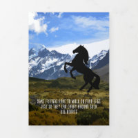 Horse Lover My Horse Is My Big Heart