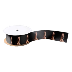 Horse Lover Satin Ribbon