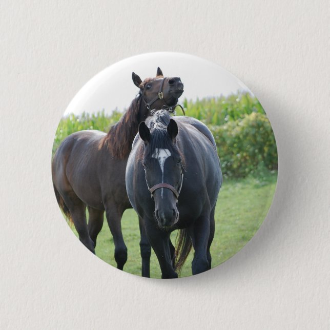 Horse Lovers 6 Cm Round Badge (Front)