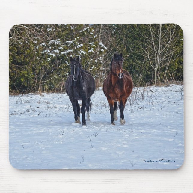 Horse-lover's Beautiful Equine Animal Design Mouse Pad (Front)